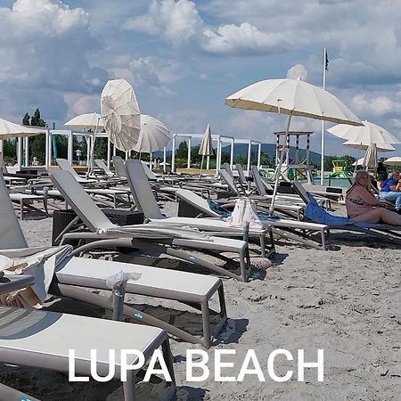 Chill Apartman Budakalász Kültér fotó